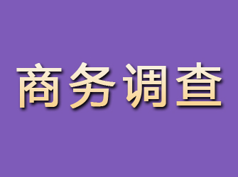 仙桃商务调查